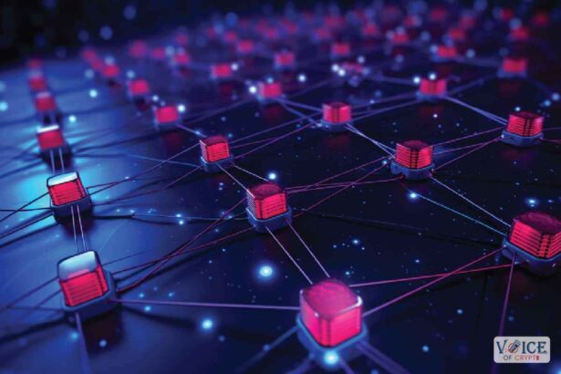How does a decentralized autonomous organization stand out?