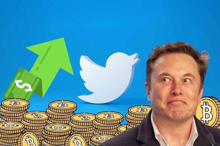 Elon Musk Dogecoin Crypto
