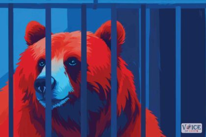 What-is-a-bear-trap