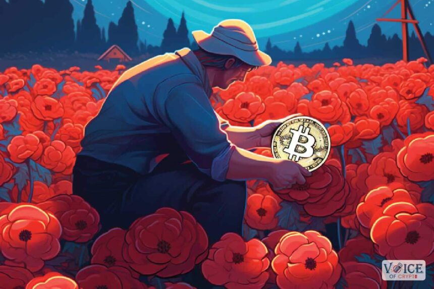Yield farming vs. Staking: whatâ€™s the difference?