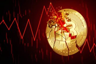 Voc, voice of crypto, bitcoin