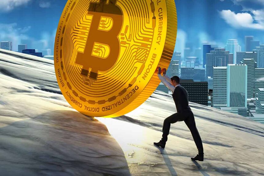 Voc, voice of crypto, bitcoin, btc