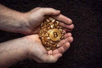 What are crypto exchanges