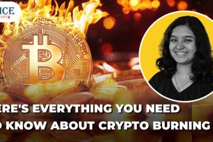 Here's everything you need to know about burning crypto!!