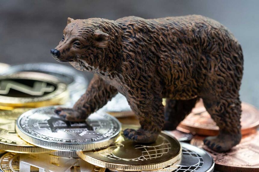 VOC, Voice of Crypto, Low Cap Crypto