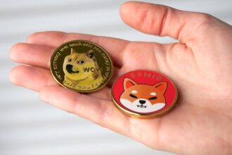 Voice of crypto memecoins