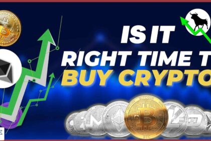 Top coins to buy