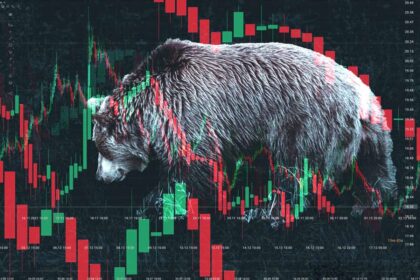 bear market