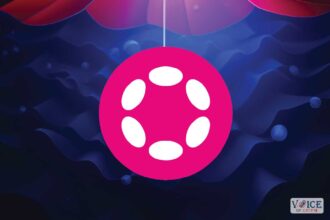 Voc, voice of crypto, polkadot, dot
