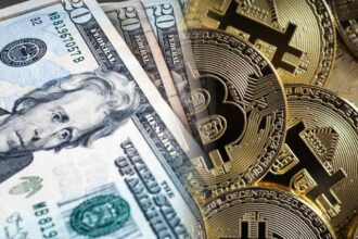 Voc, voice of crypto, bitcoin, btc, crypto, venture fund