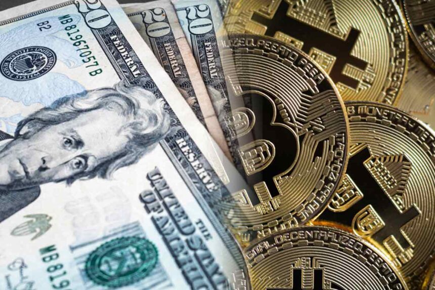 Voc, voice of crypto, bitcoin, btc, crypto, venture fund