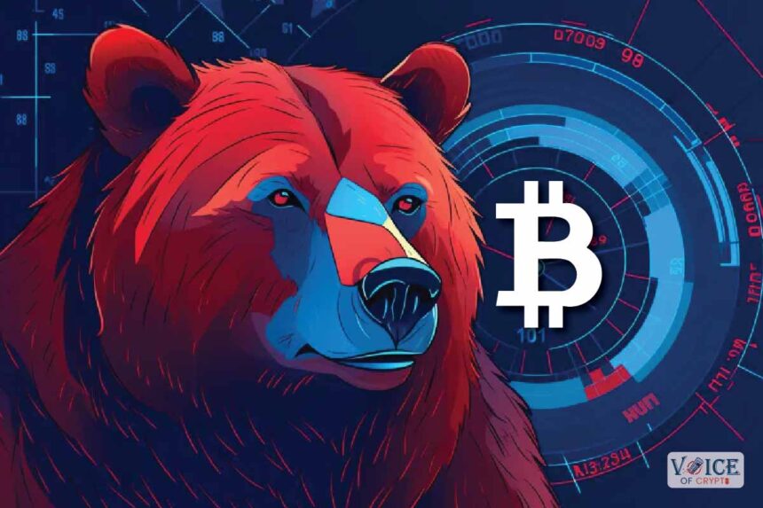 Voc, voice of crypto, bear market