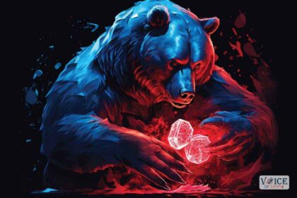 Voc, voice of crypto, bear market