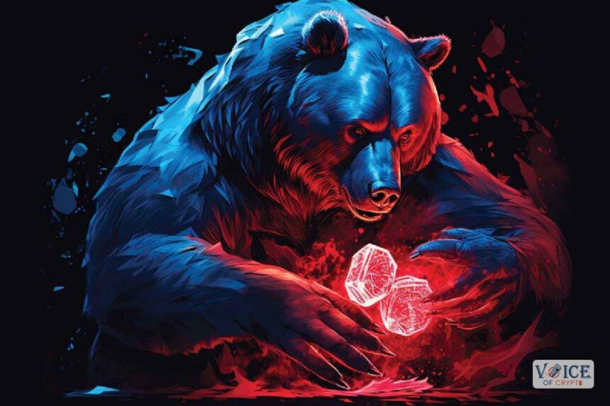 Voc, voice of crypto, bear market