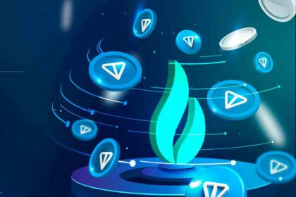 Toncoin voiceofcrypto