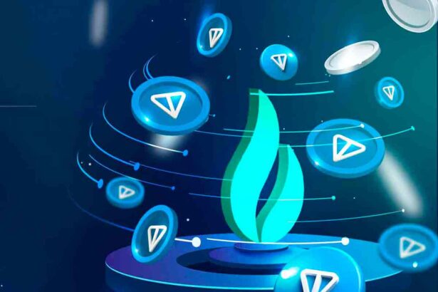 Toncoin voiceofcrypto