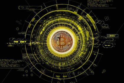 Popular economist signals huge volatility bouts in bitcoin