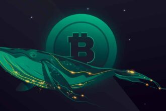 Btc price bitcoin