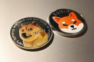 Doecoin shiba inu price voc
