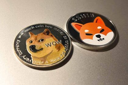 Doecoin shiba inu price voc