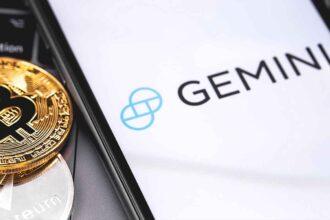 Gemini exchange review 2022