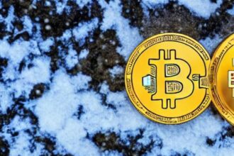 How to manage your mental health this crypto winter?
