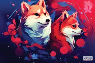 What is shibarium shiba inu shib