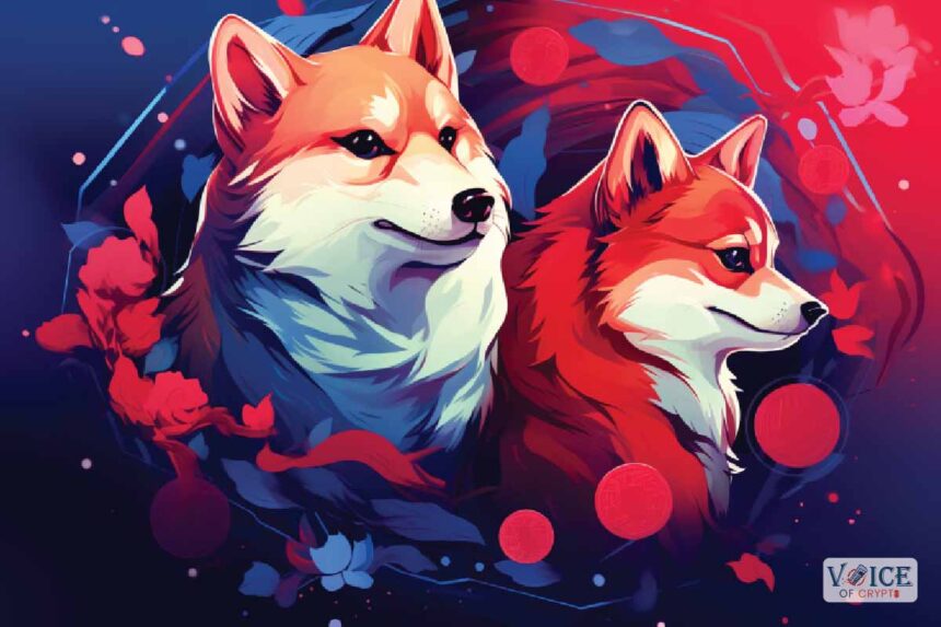 What is shibarium shiba inu shib