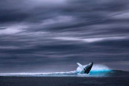 Eth, eth whales, voc, voiceofcrypto