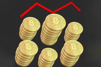 Bitcoin price indicator trader