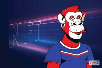 VOC, Voice of Crypto, NFT