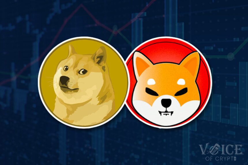 Doge shib pepe pepe voc