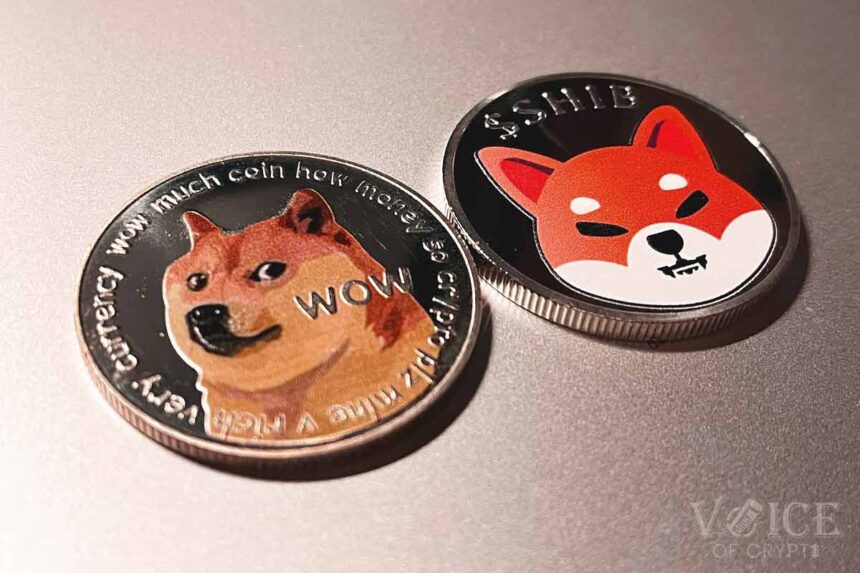 Dogecoin shiba inu price voc