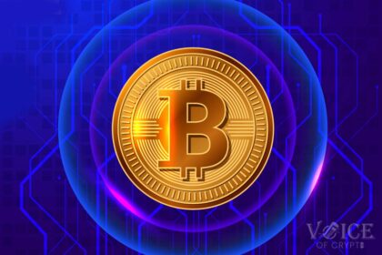 Btc price action bitcoin