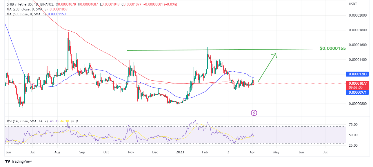 Chart showing shiba inuâ€™s price target