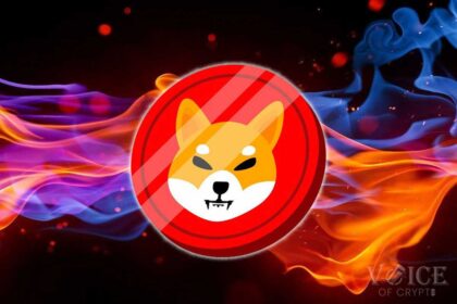 Voice of crypto shiba inu,