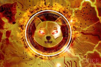 Voice of crypto shiba inu