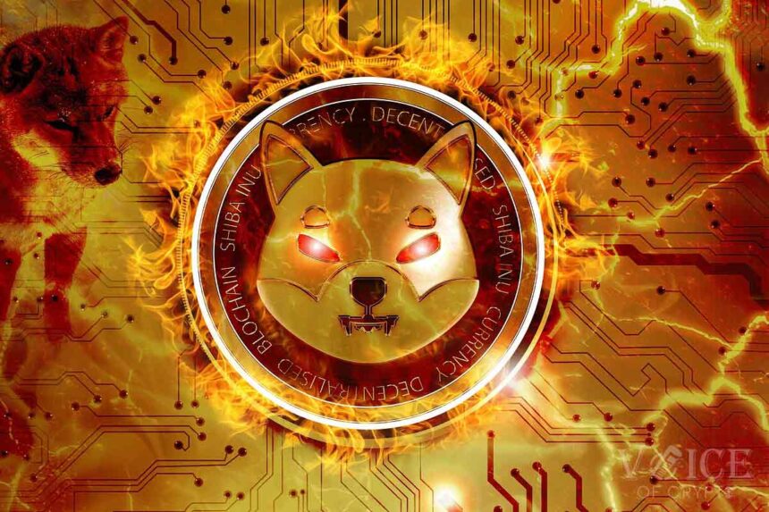 Voice of Crypto Shiba Inu