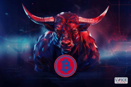 Crypto bullrun chainlink voice of crypto