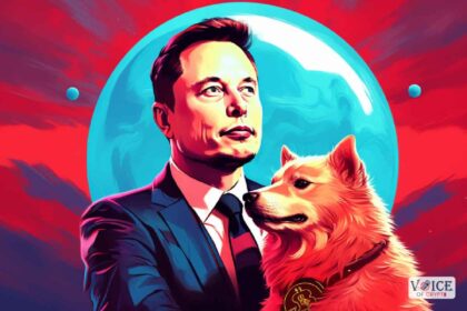 Elon musk doge