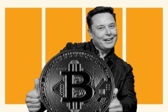Crypto elon musk