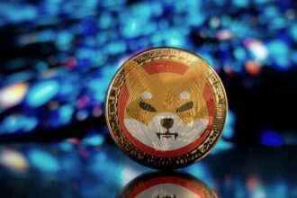 Shiba inu shib price