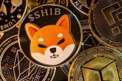 Shiba inu shib
