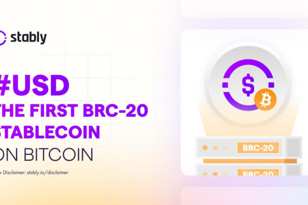 USD On Bitcoin Graphic 2 16849862576x4964vfYh