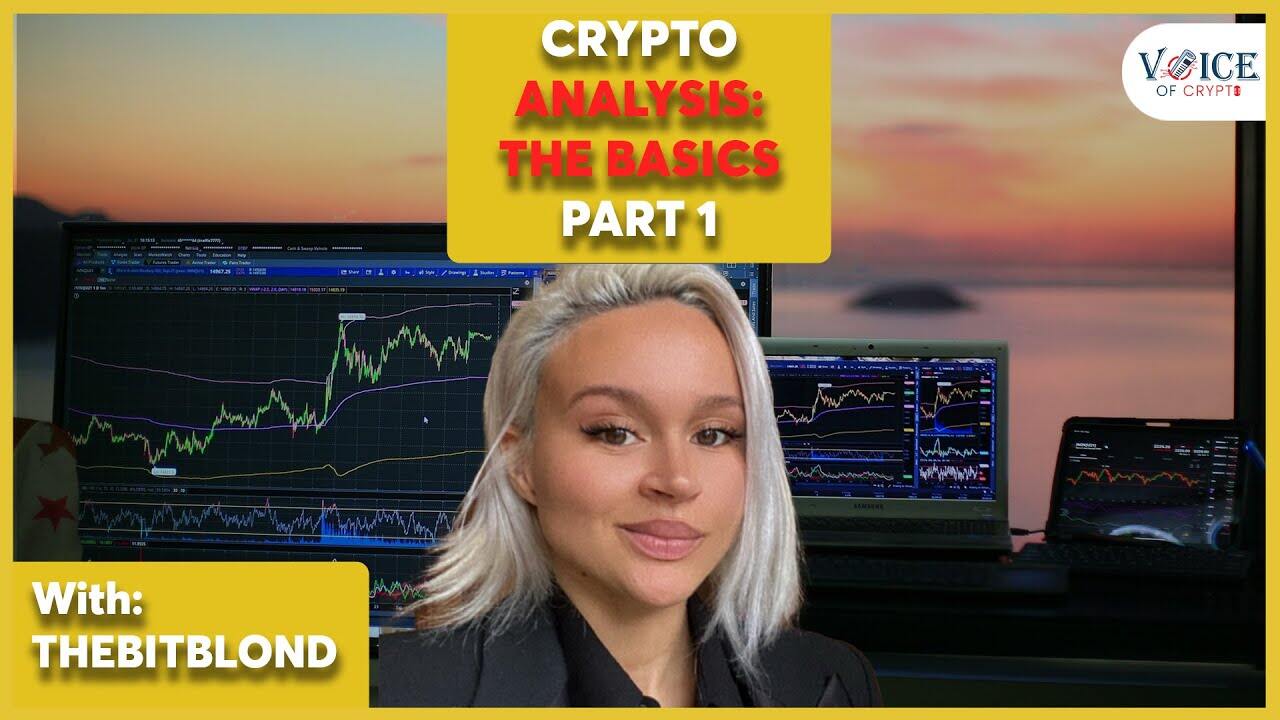 Technical Analysis in Crypto for Beginners | Trading Bitcoin, Altcoins | With The BitBlond for VOC
