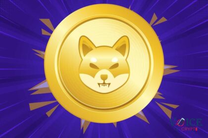 Shiba inu shib