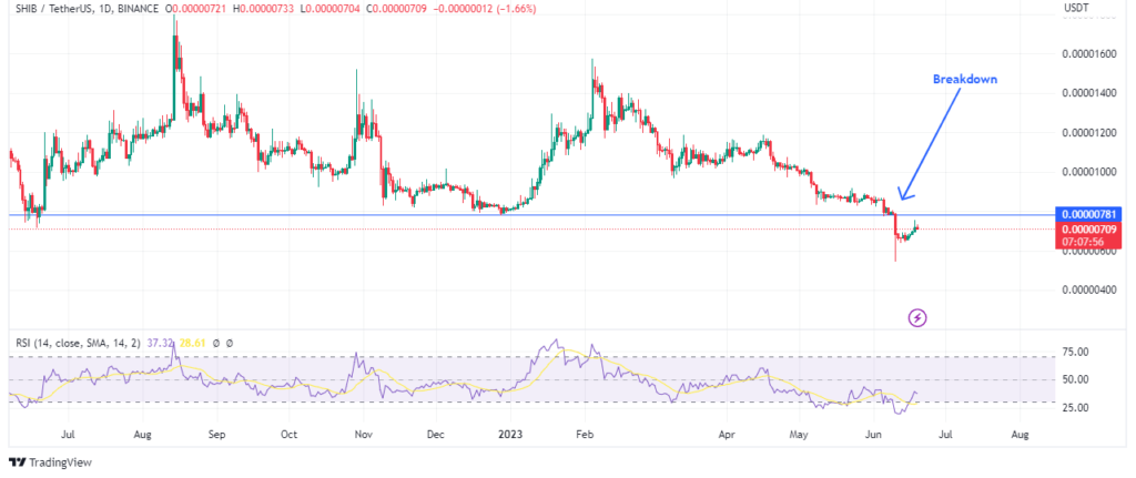 Shiba inu coins in the charts