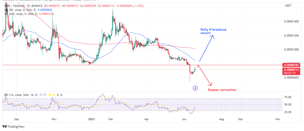Shiba inu’s possible price action