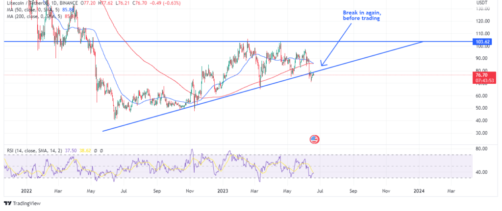 Litecoinâ€™s coins possible action