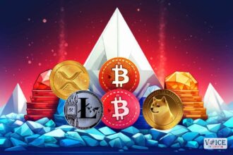 Crypto altcoin voc